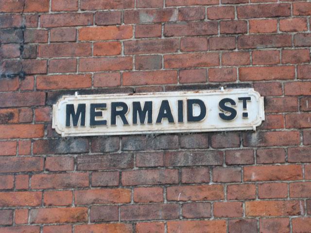 min 2011 11 19 rye gw 037
